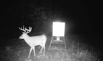 225 CR 3303, De Kalb, TX 75559