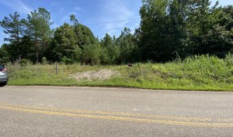 1258 Otis Paine Rd, Bethel Springs, TN 38315