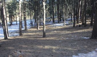 Lot 608 Via Del Rey, Angel Fire, NM 87710