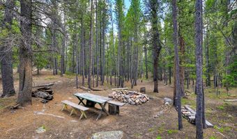 2221 Kootchie Kootchie Rd Lot 0, Alma, CO 80420