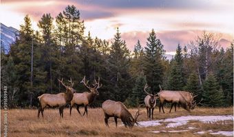 1 The Ranch At Angel Fire, Angel Fire, NM 87710
