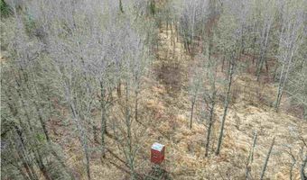 11448 Hwy 22, Angora, MN 55703