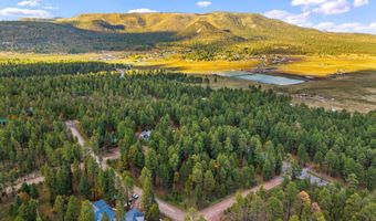 COUNTY ROAD 2196, Alpine, AZ 85920