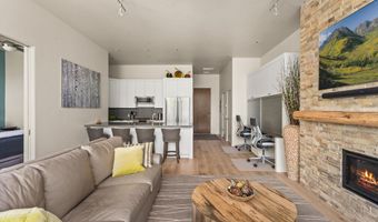 101 Willits Way 205, Basalt, CO 81621