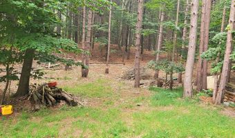 15940 Northwood Hwy, Arcadia, MI 49613
