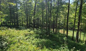 Lot 25 Legendary Parkway, Arley, AL 35541
