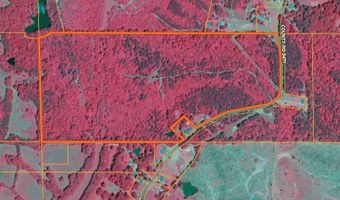 North Palestine Road, Baldwyn, MS 38824