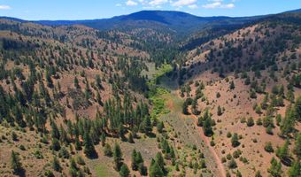12142 Burns-Izee Rd, Seneca, OR 97873