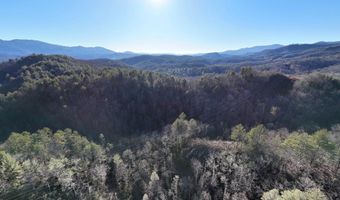 6 83ac Webb Creek Rd, Andrews, NC 28901