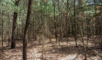 S Badger Lane lot 39, Arkdale, WI 54613