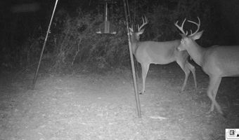 JINKS ROAD, Bernice, LA 71222