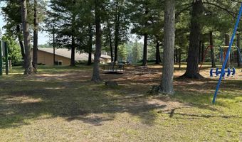 6239 Blackberry Dr, Alger, MI 48610