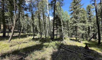 Lot 10 Alpine Lake Terrace, Angel Fire, NM 87710