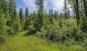 477 Chief Cliff Trl, Bigfork, MT 59911