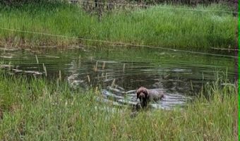 35322 Washoe Rd, Bonner, MT 59823