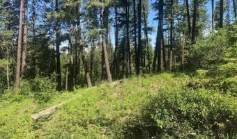 41 Quiet Rd, Athol, ID 83801