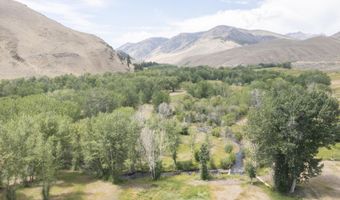 9885 Challis Creek Rd, Challis, ID 83226