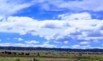 Bell Brand Ranches Lot 39 - 40, Chambers, AZ 86502