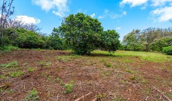 2175 Kauhikoa Rd Lot 7, Haiku, HI 96708