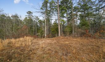 868 County Road 2920, Alba, TX 75410