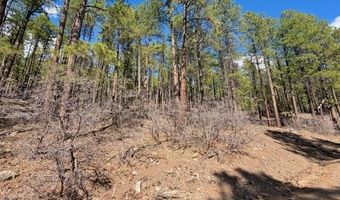 249 Timber Dr, Bayfield, CO 81122