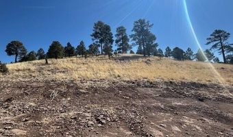 6 County Road 2331, Alpine, AZ 85920
