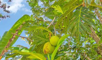 4685 Uakea Rd, Hana, HI 96713