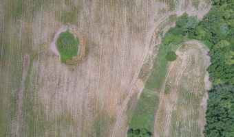 1991 Townline, Adrian, MI 49221