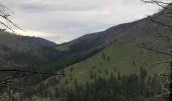 Spiritwood Ln, Bellvue, CO 80512