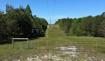 2 SOCIETY HILL Rd, Auburn, AL 36830