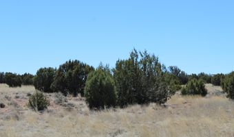 80 County Road 8620, Concho, AZ 85924
