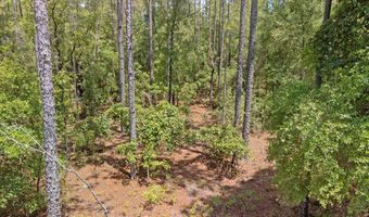 TBD 65th St, Bell, FL 32619