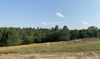 tbd lot 12 Other, Whitewood, SD 57793