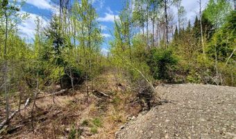 Lot # 2 Cone Road, Amity, ME 04471