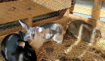 4775 S 50th Rd, Aldrich, MO 65601