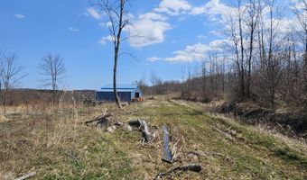 295 Shellstone Rd, Amsterdam, NY 12010