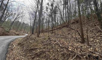 FAIRWAY DR, Basye, VA 22810
