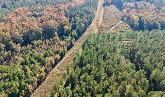 TBD Binnicker Bridge Road, Bamberg, SC 29003