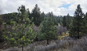 2477 CEDONIA ADDY Rd, Addy, WA 99101