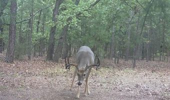 187602 N 4138 Rd, Antlers, OK 74523