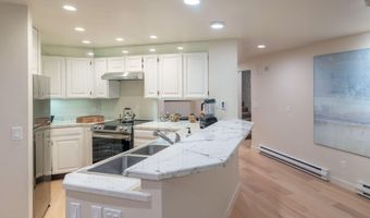 506 W Hallam St, Aspen, CO 81611