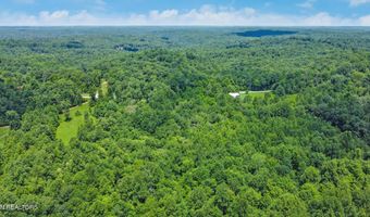 Mt Helen Rd, Allardt, TN 38504