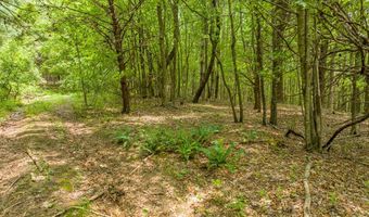 Tbd Apache Rd, Woodlawn, VA 24381