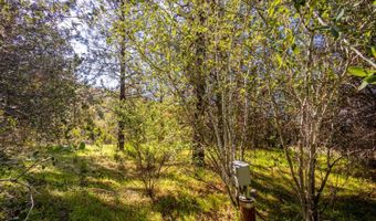 9 Valley Oak Dr, Ahwahnee, CA 93601