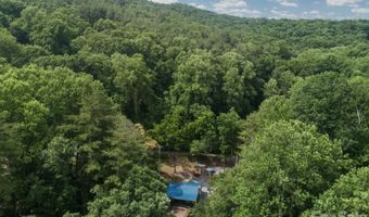 168 Avondale Rd, Asheville, NC 28803