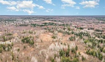 6002 Wildwood, Alger, MI 48610