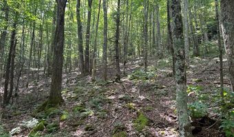 Tbd Old Mountain Road, Banner Elk, NC 28604