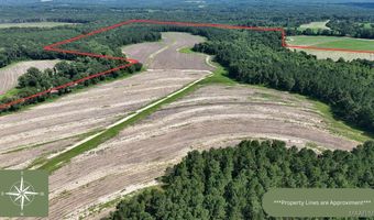 216 County Road 201, Ariton, AL 36010
