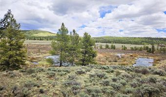 700 Looney Ln Lot 0, Alma, CO 80420