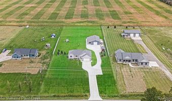 8309 Almont Rd, Almont Twp., MI 48003